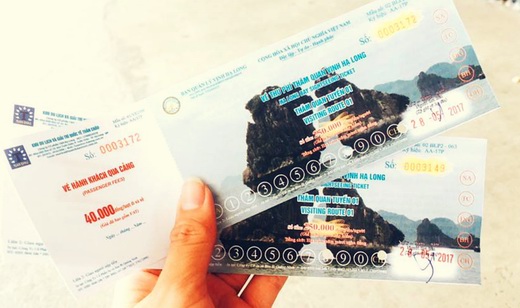 Halong charter cruise Halong charter cruise