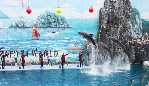Tuan Chau amusement park Tuan Chau amusement park