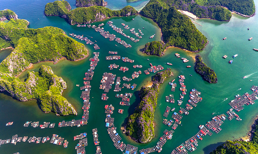 Visit fishing villages in Lan Ha Bay Visit fishing villages in Lan Ha Bay