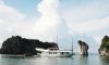 Prince Junk 2 cabins(2 guests private charter and stay at 2 cabins)