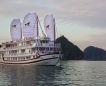 Signature Royal Cruise
