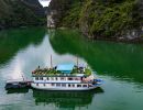Azela Cruise