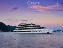 Elite of The Sea