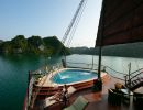 Orchid Trendy Cruise