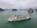  Ambassador Cruise (President Cruise)