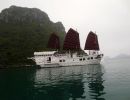 Red Dragon Junk 5 cabins