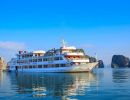Royal Wings Cruise