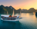 Sena cruise
