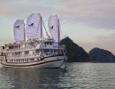 Signature Royal Cruise