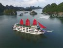 Oasis Bay Party Cruise