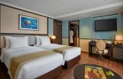 Oasis Harmony Suite