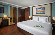 Oasis Harmony Suite