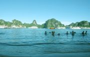 swimming