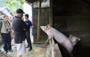 Visit local village