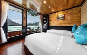 Junior Suite Cabin