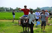 Culture tour