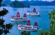 Swan Cruises