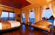 Violet Dragon Suite