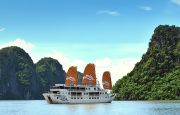 Cruise experior