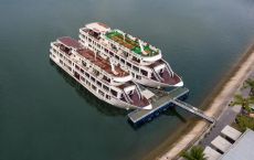 Cruise docking