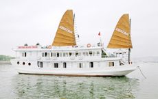 cruise-ex