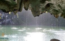 Cave