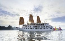 Cruise exterior