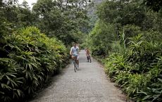 Biking
