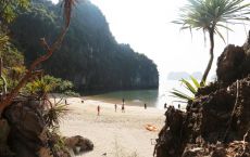 Beautiful Beach