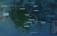 Cruising map