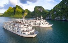 Paradise Cruises Team
