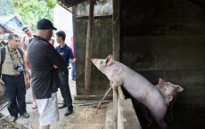Visit local village