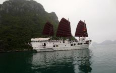 Cruise exterior