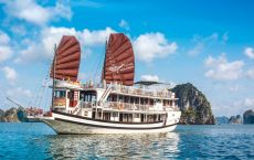 Cruise experior