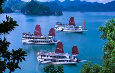 Swan Cruises