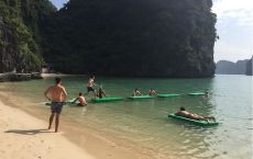 Freedom island