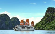Cruise experior