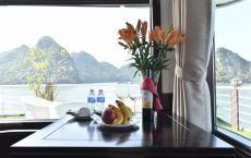 Suite complimentary