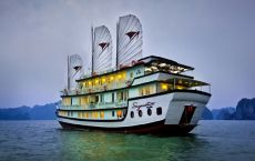Cruise exterior