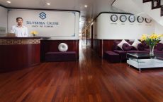 Cruise reception