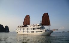 Cruise experior