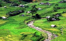 Local village