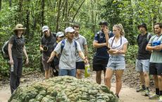 Cu Chi tour