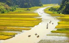 Tam Coc