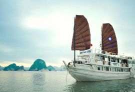 Garden Bay Cruise Classic