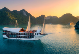 Sena cruise