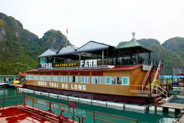 Azela Cruise