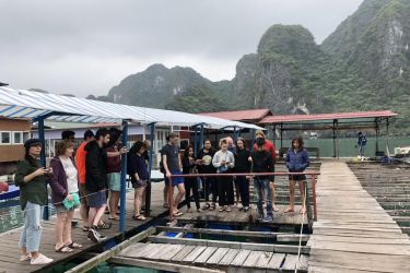Cozy Bay Cruise