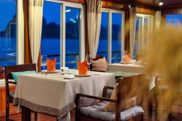 Cozy Bay Cruise