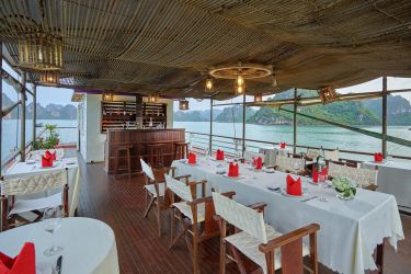 Cozy Bay Cruise